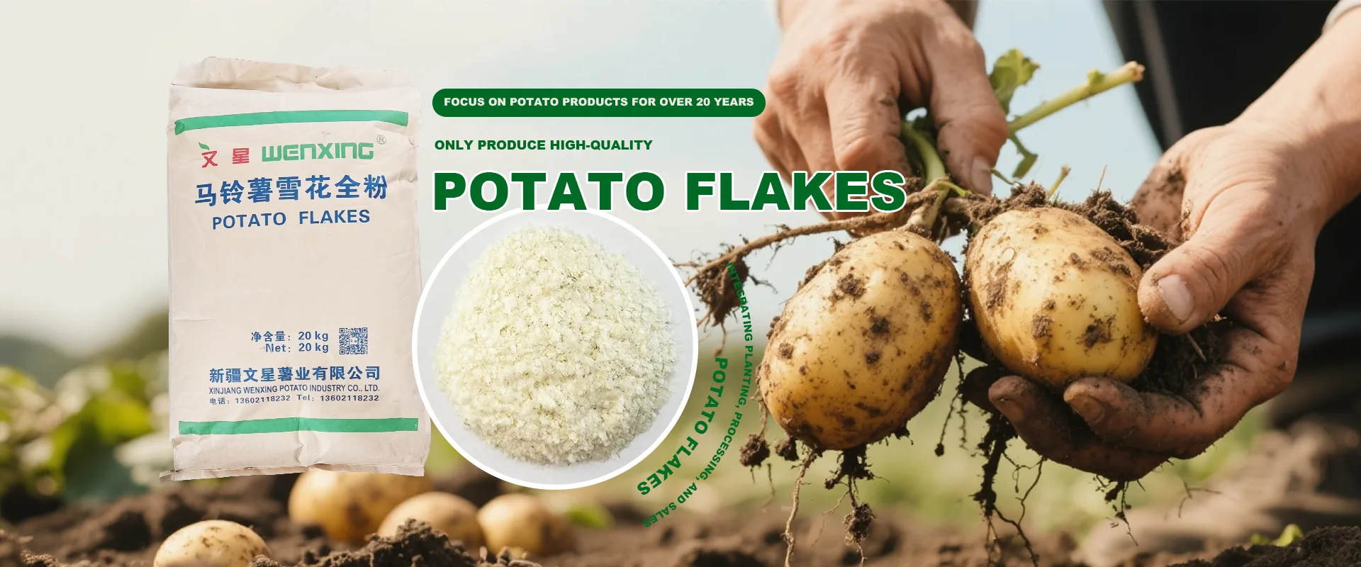 Fábrica de copos de patata de China